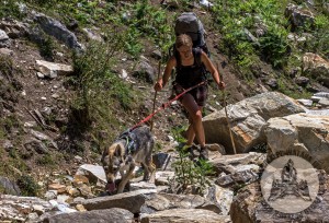 Diuna testowała także swój sprzęt - w szelkach urwała kolucho, elastyczna taśma stała się sztywna, obroża pękła ostatniego dnia 55-dniowego trekkingu.
